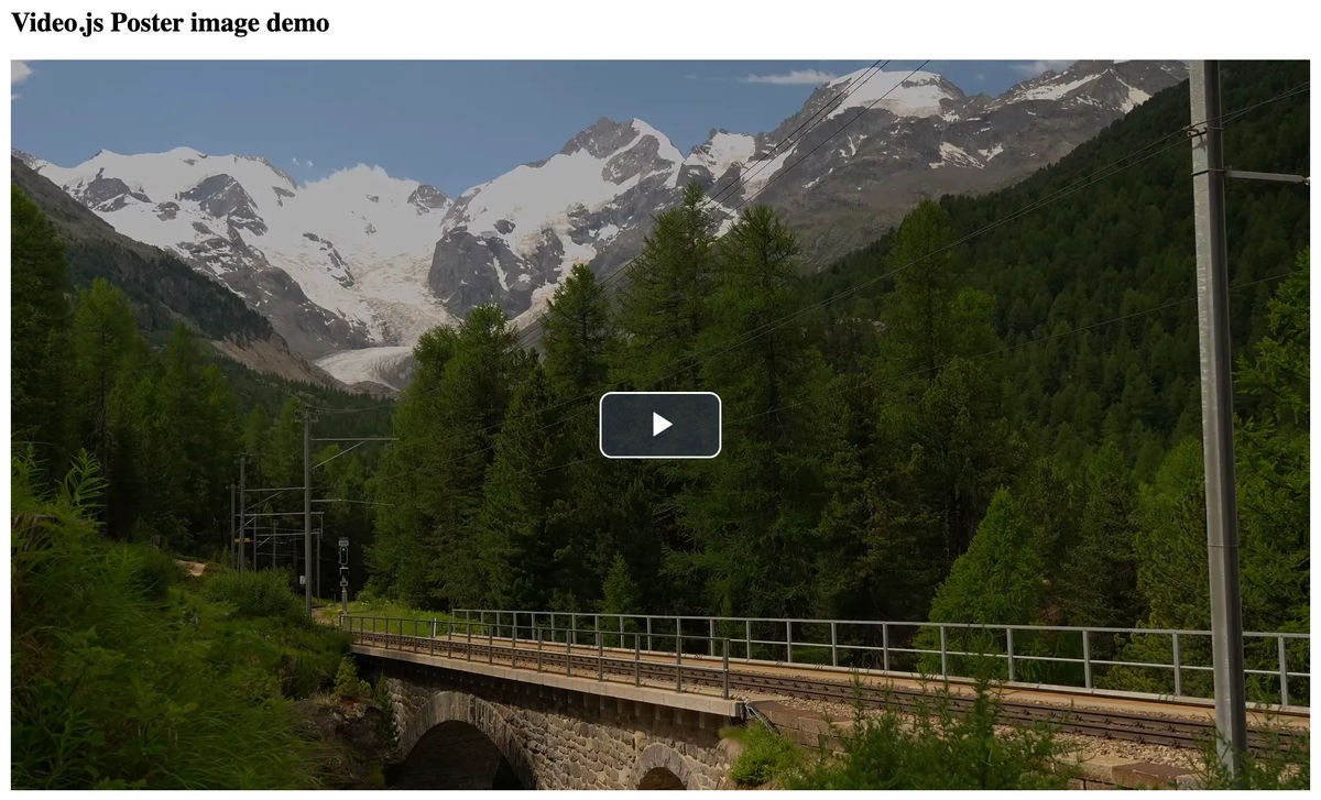 Video poster being displayed before the user starts playing the video