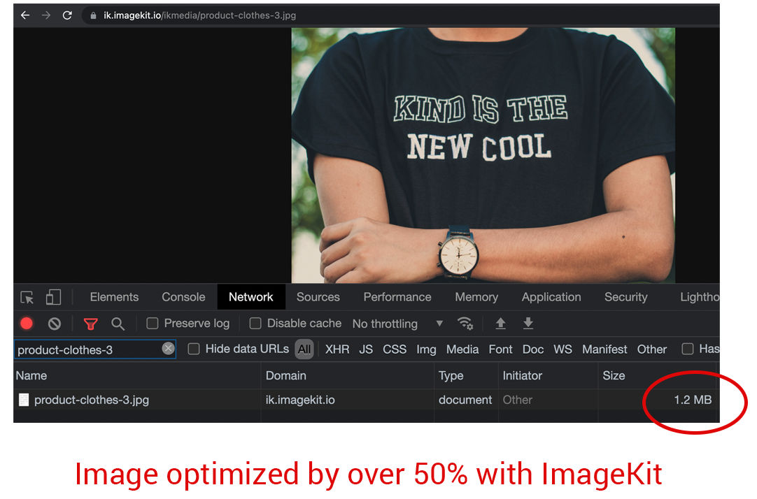 The same 2.5MB image shown above is optimized by ImageKit