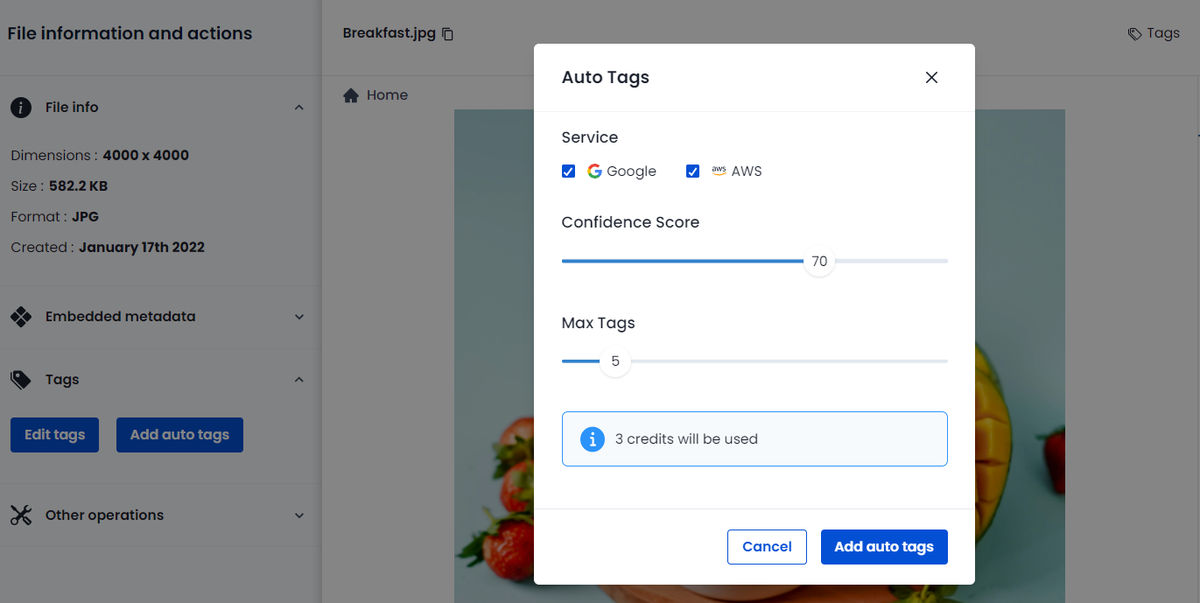Choose from Google Cloud Vision and Amazon Rekognition APIs