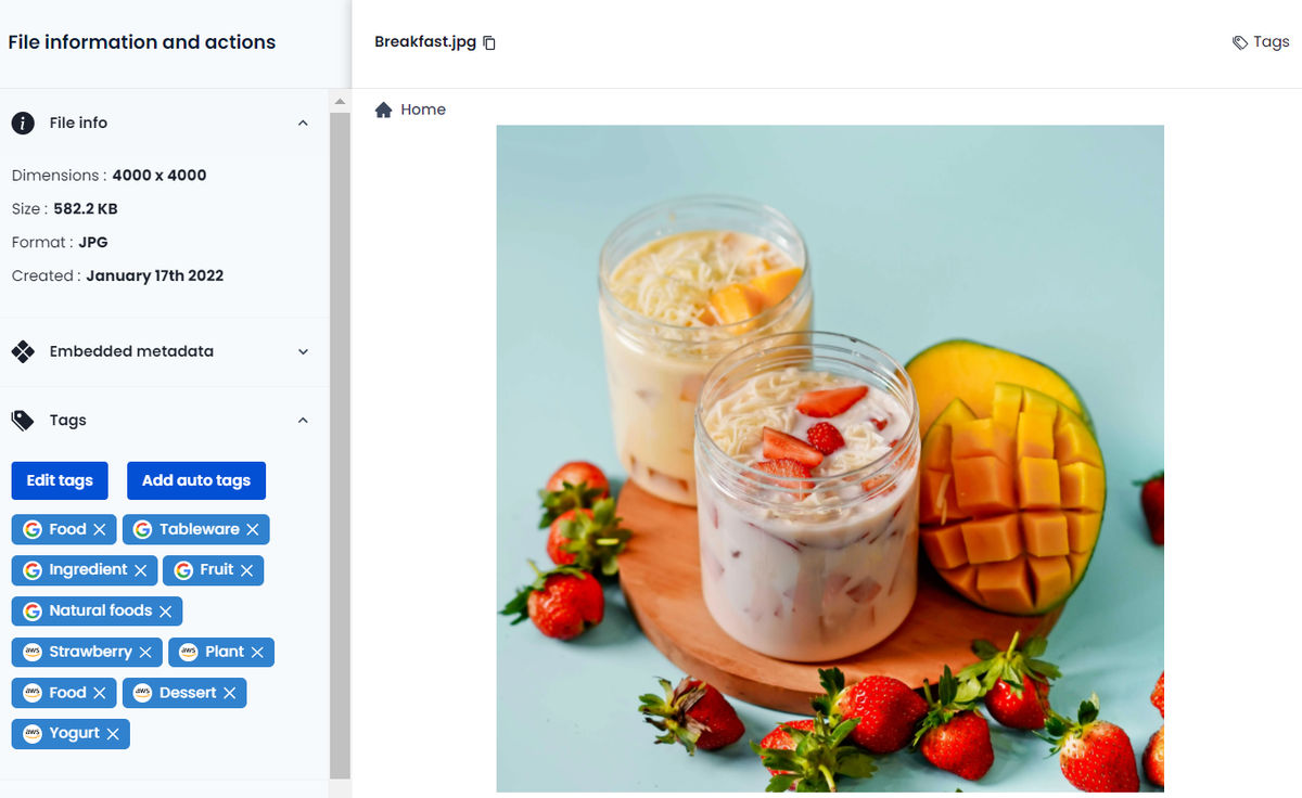 Auto tags get stored with the image along with any manual tags that you might have added
