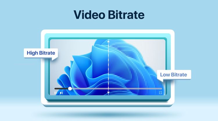 Everything You Need To Know About Video Bitrate