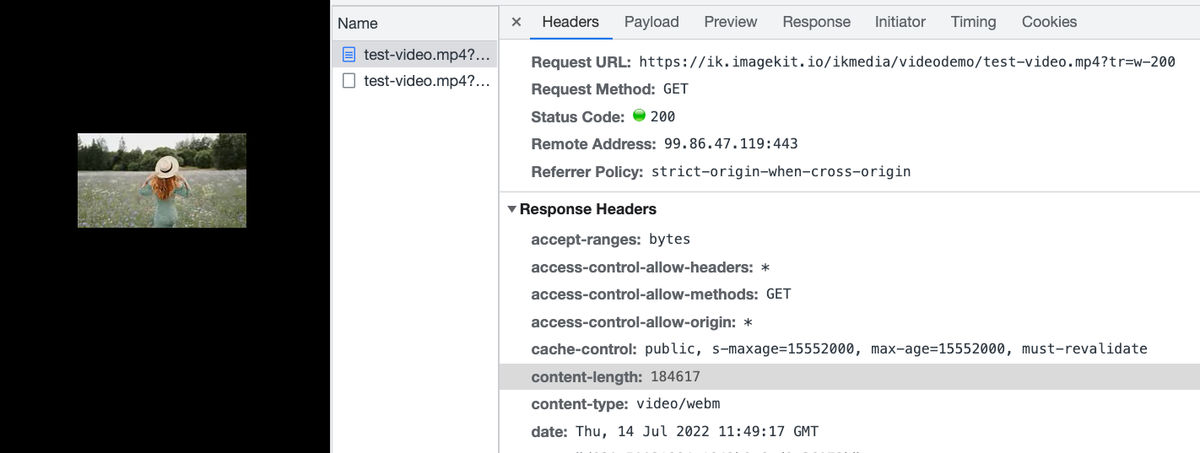 The video resized to 200px width and delivered as a 184 KB WebM file.
