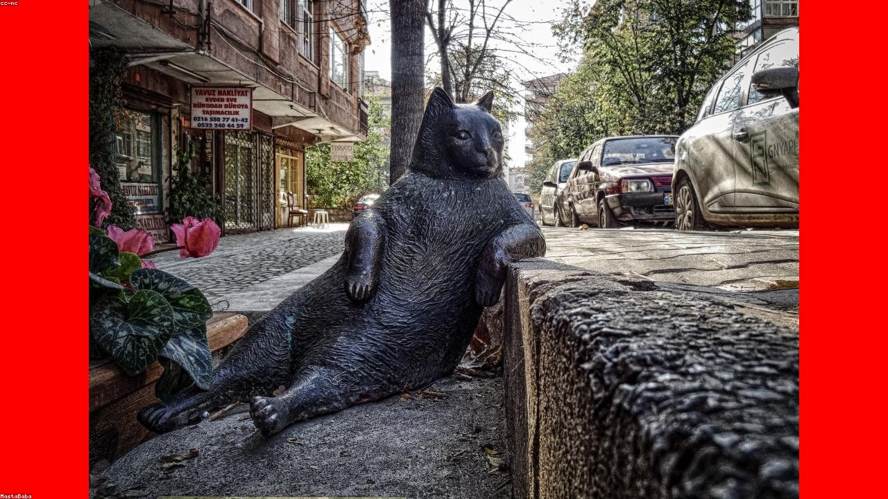 21 Modern Tips to Improve Your Technology News