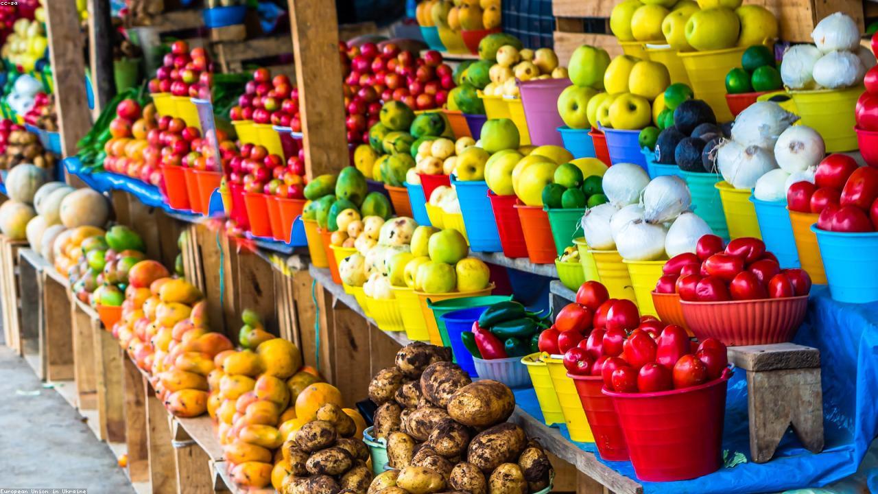 Top 33 Powerful Tools for Healthy Food Success