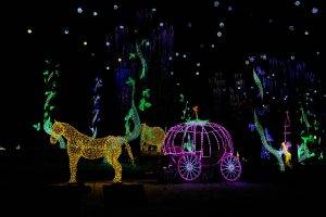 Garden of the morning calm