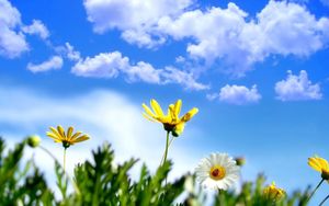 Try Doing This: Evaporating Clouds in Real Time 2 Evaporating clouds