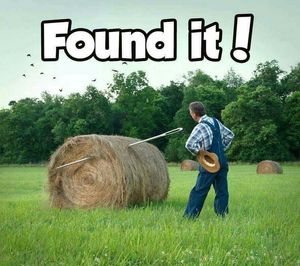 4 Steps to Find Missing Items 3 picture of a needle in a hay stack. Caption says, Found it