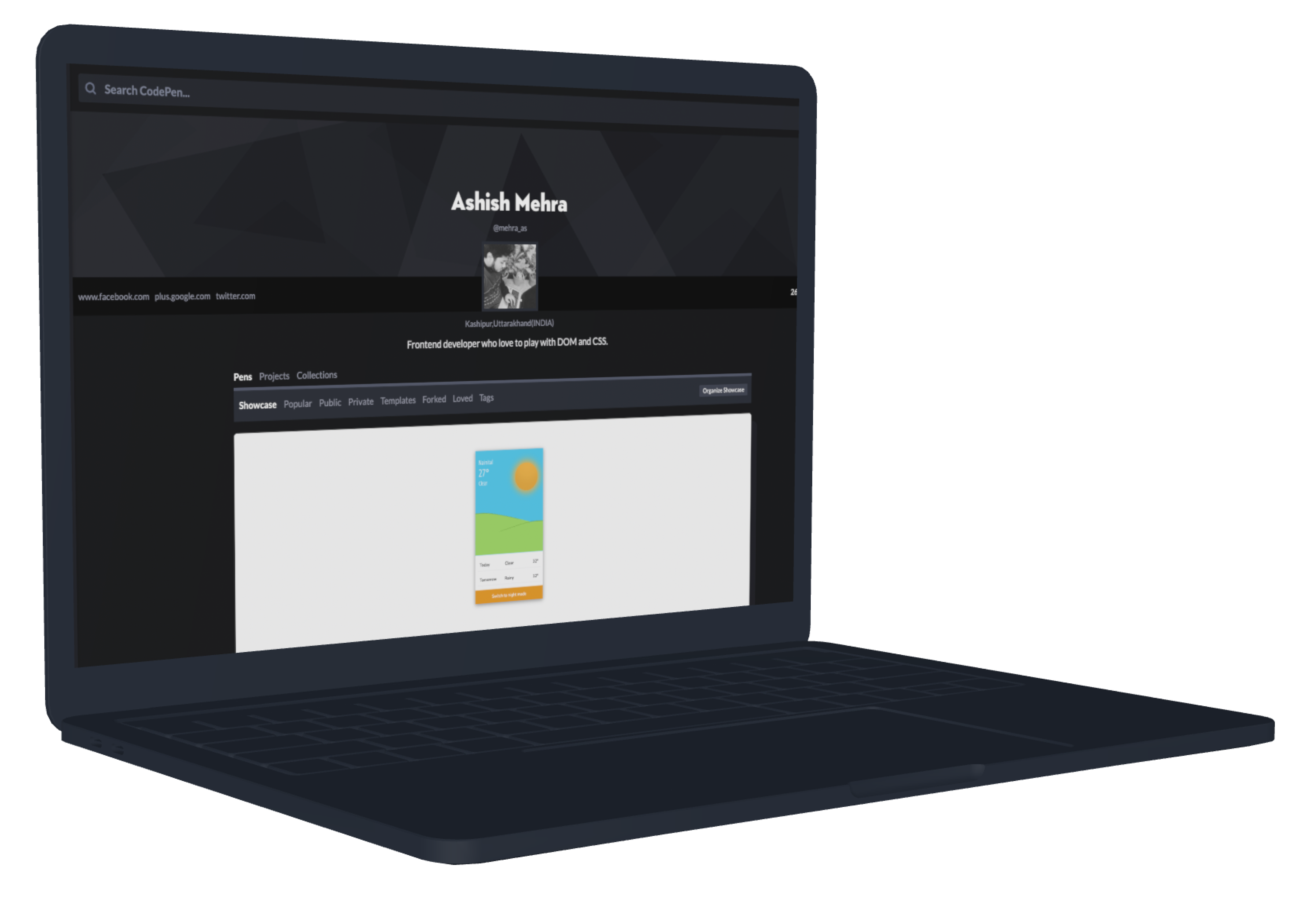 Codepen UI by Ashish Mehra