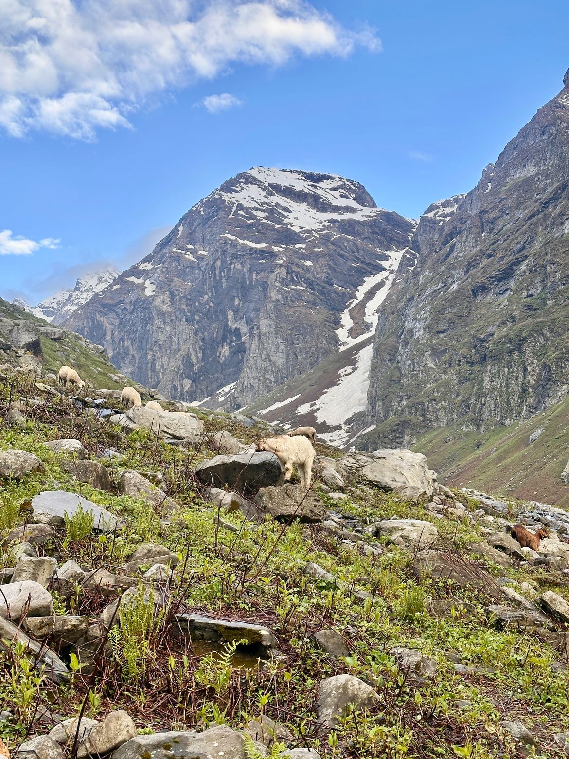 Hamta Pass Trek