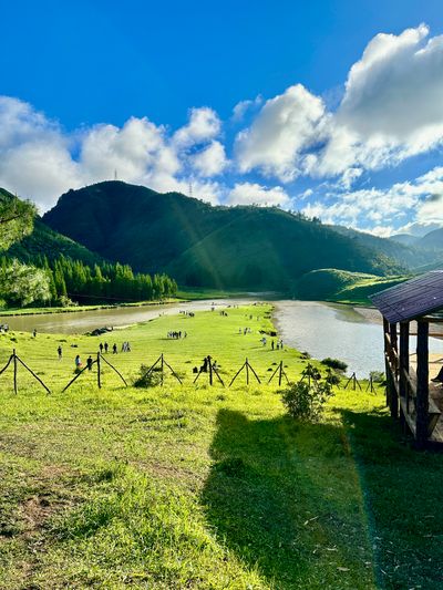 Bulls Trek - Image 2