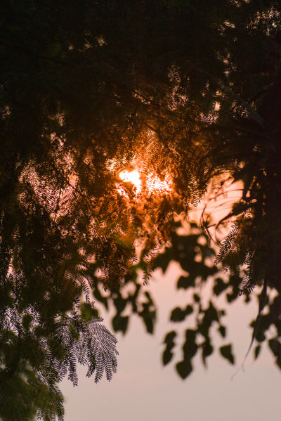 Sunset in Brahmaputra River - Image 2