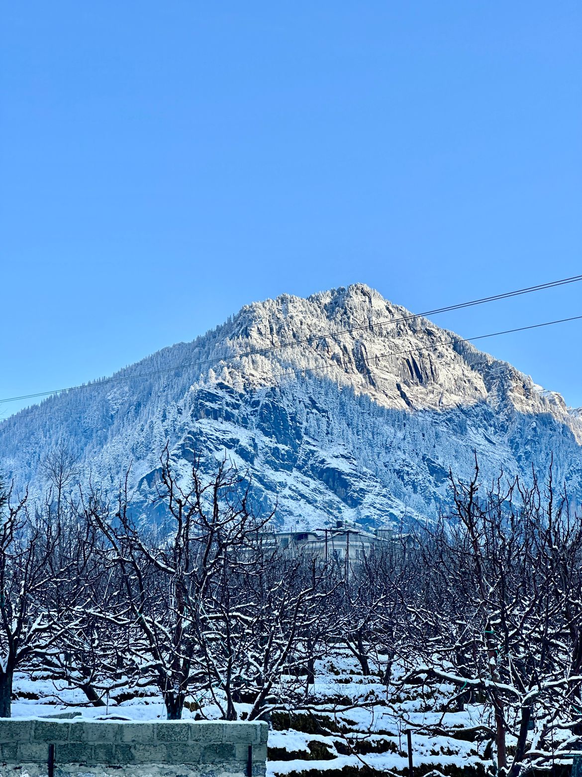 Manali