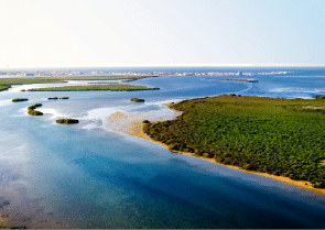 View of Yachtside Marina Residences at sunset with buildings, palm trees, and beach
