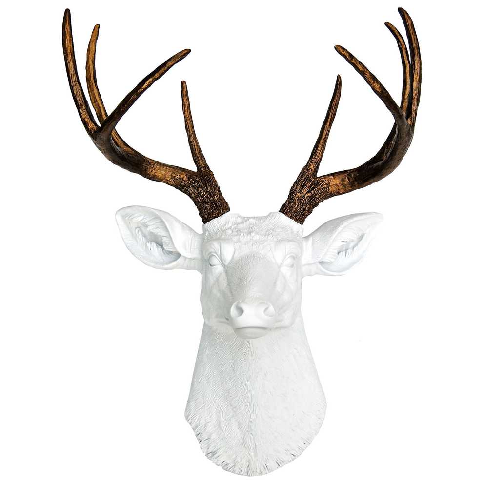 Featured Photo of Atlantis Faux Taxidermy Wall Decor