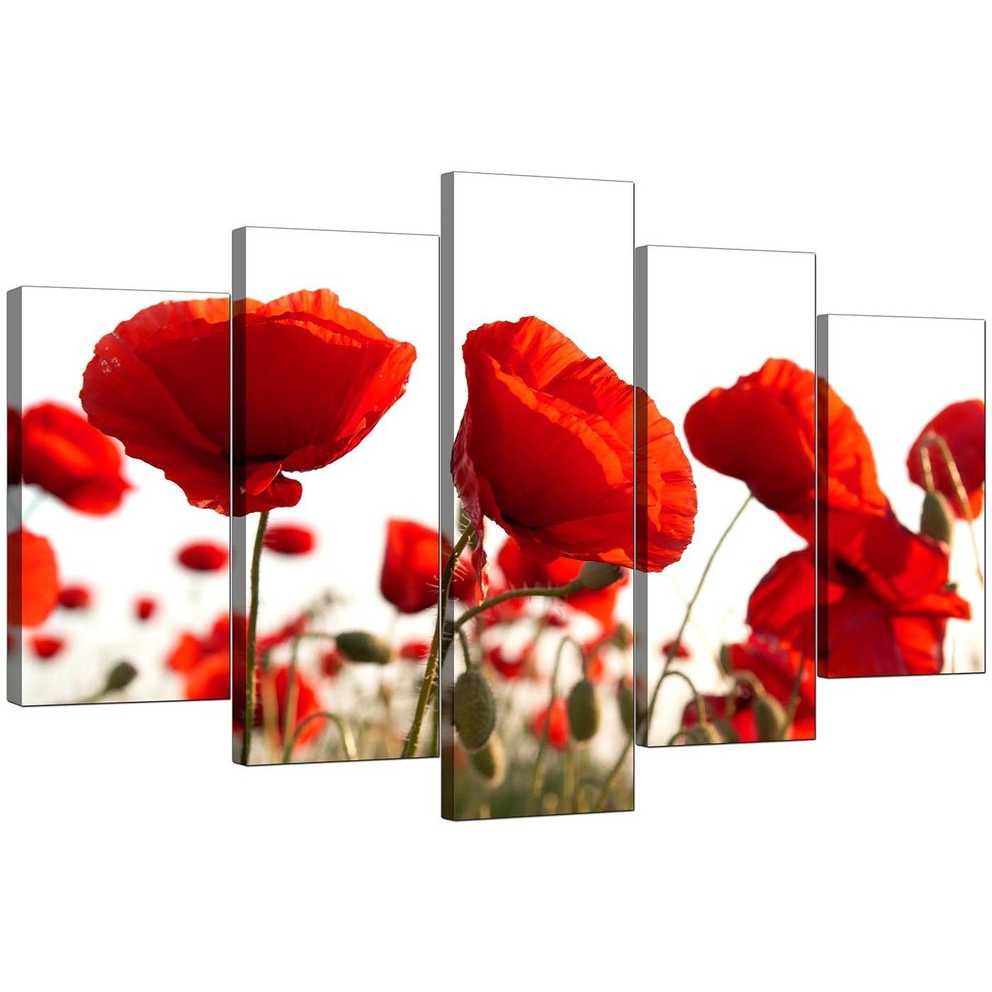 Featured Photo of Poppies Canvas Wall Art