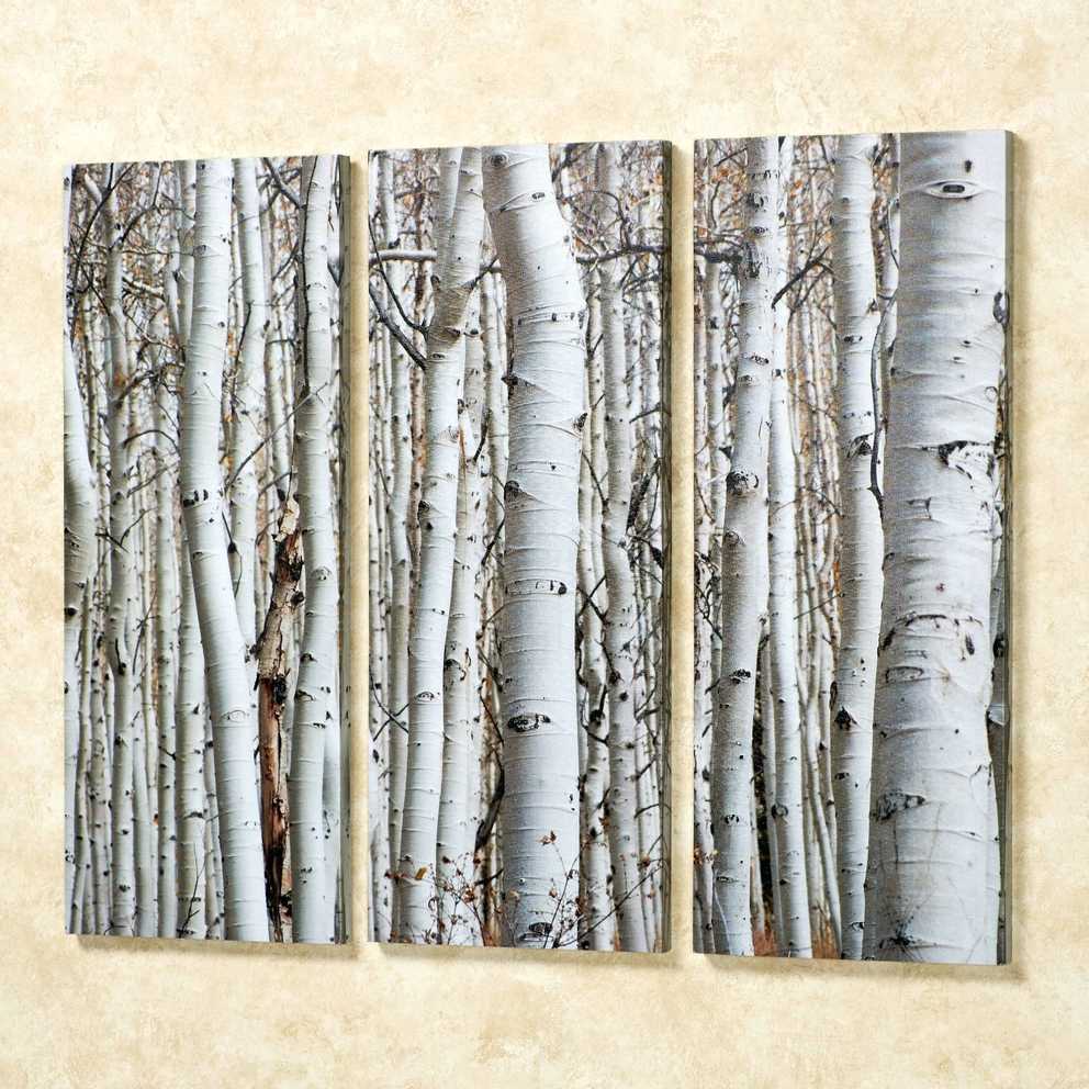 Featured Photo of Birch Trees Canvas Wall Art