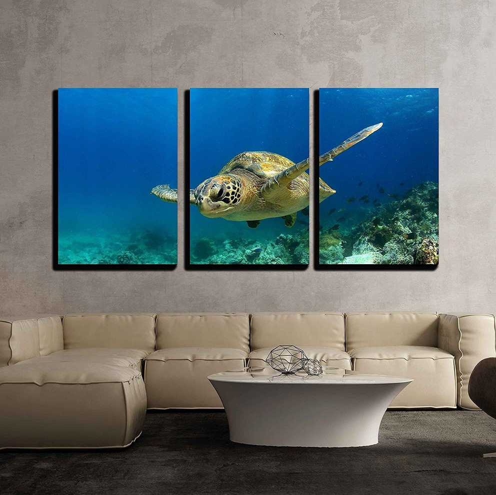 Featured Photo of Swimming Wall Art