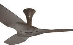 Outdoor Ceiling Fans with Covers