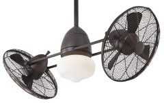 Dual Outdoor Ceiling Fans with Lights