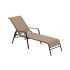 Home Depot Chaise Lounges