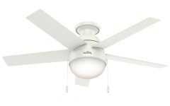 Anslee 5 Blade Ceiling Fans
