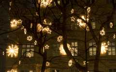 Hanging Outdoor Lights on Trees