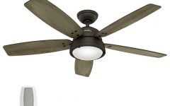 Outdoor Ceiling Fans by Hunter