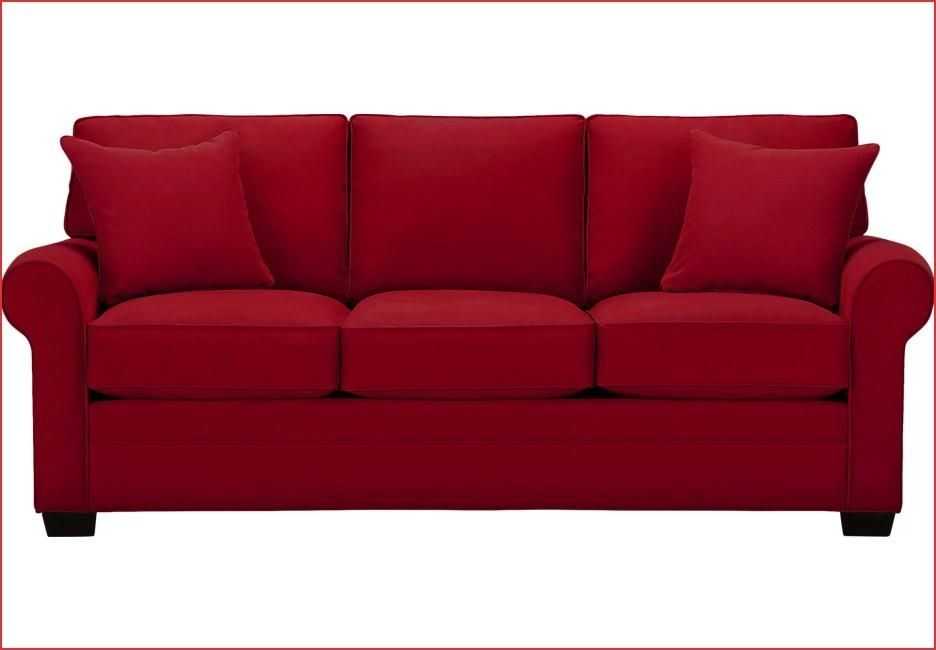 Sofa Everyday Sleeper Sofas (11 of 20 Photos)