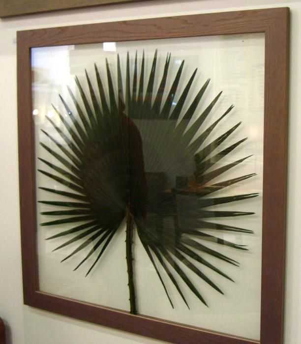 Wall Art Palm Leaf Wall Art (20 of 20 Photos)