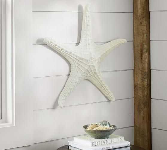 Wall Art Large Starfish Wall Decors (1 of 20 Photos)