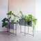 Rectangular Plant Stands