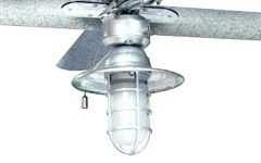 Outdoor Ceiling Fans with Guard
