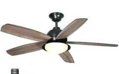  Best 15+ of Outdoor Ceiling Fans with High Cfm