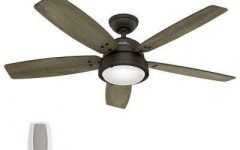 Hunter Outdoor Ceiling Fans with Lights and Remote