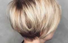 Rounded Pixie Bob Haircuts with Blonde Balayage