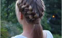 French Pull Back Braids into Ponytail