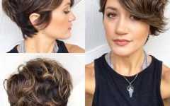 Feathered Pixie Shag Haircuts with Highlights