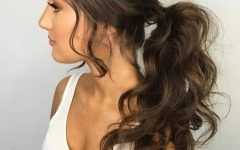 Black Ponytail Hairstyles with a Bouffant