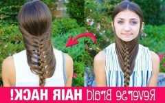 Wrapped Ponytail with In-front-of-the-ear Braids