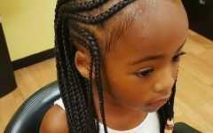 Braid Hairstyles for Little Girl