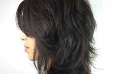 Feathered Black Shag Haircuts with Side Bangs