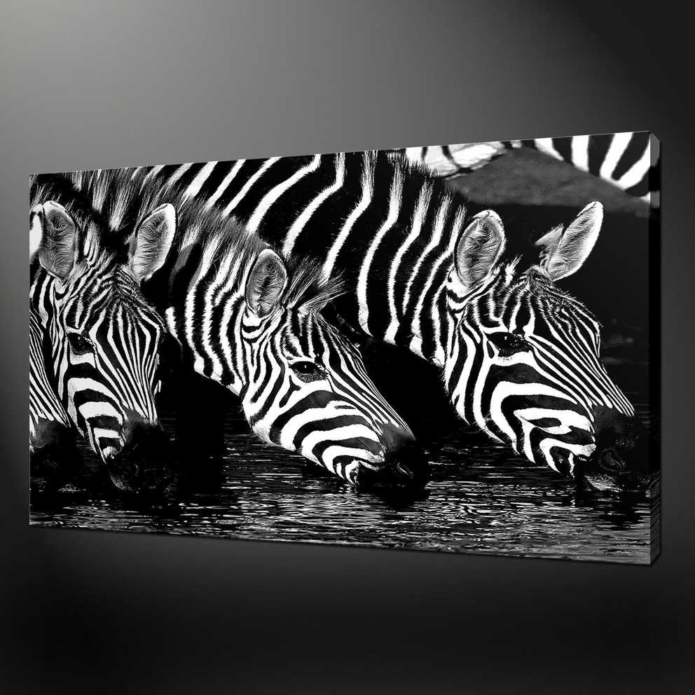 Featured Photo of Zebra Canvas Wall Art