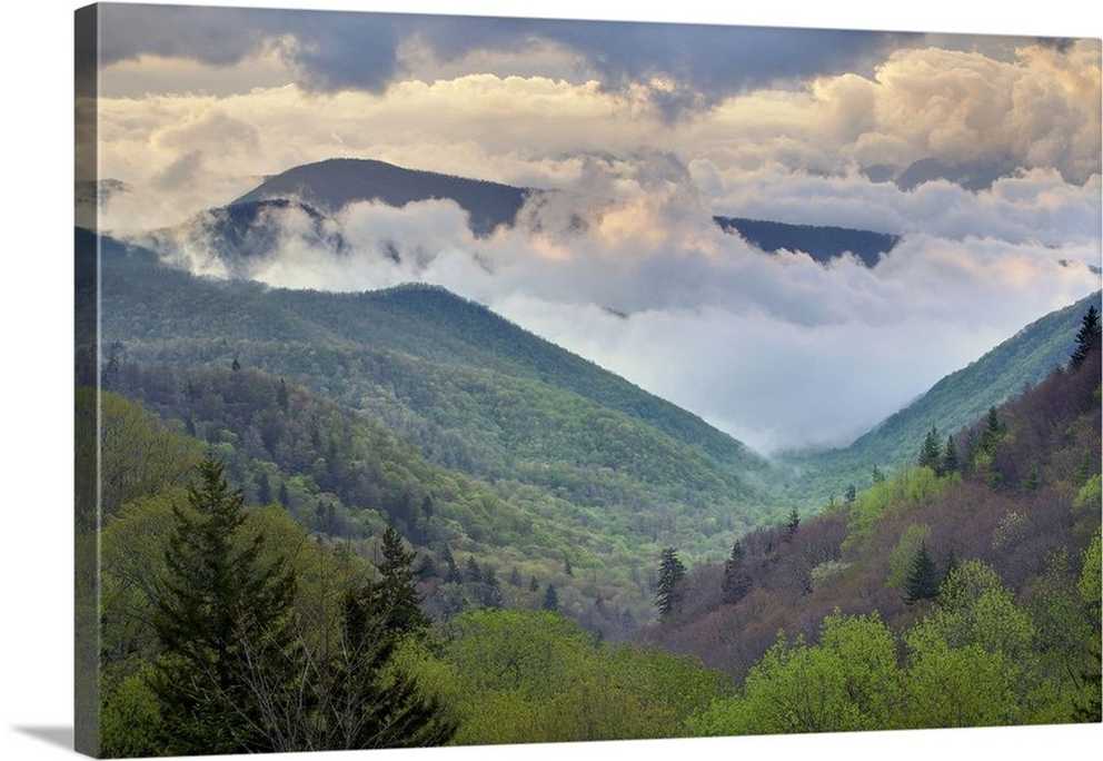 Great Smoky Mountains National Park, North Carolina Wall Art, Canvas  Prints, Framed Prints, Wall Peels | Great Big Canvas Intended For Smoky Mountain Wall Art (Photo 5 of 15)