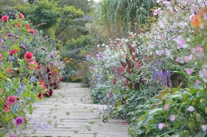 10 Ideas To Steal From English Cottage Gardens – Gardenista Inside English Cottage Garden Flowers (Gallery 1 of 25)