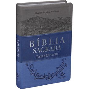 Bíblia Sagrada Letra Gigante - RA (Azul e Cinza)
