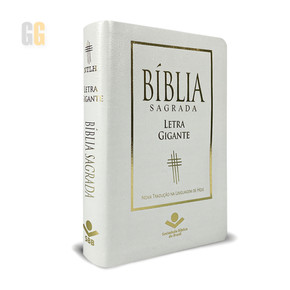 Biblia Sagradaova Traducao na Liguagem de Hoje LIKE NEW Portfolio design