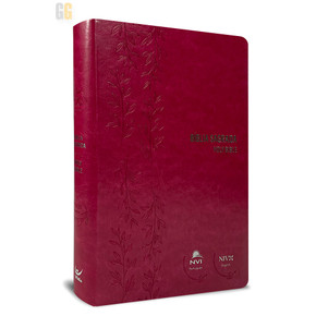 Bíblia Bilíngue NVI | Português e Inglês | Pink