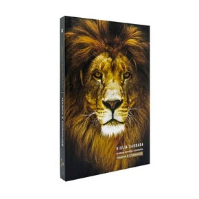 Bíblia Sagrada RC Harpa Avivada E Corinhos Média Capa Dura Leão Glória