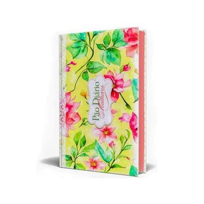 Box Pão Diário Mulheres Te Exaltarei