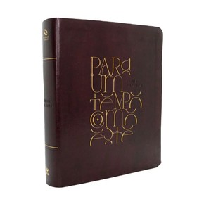 Bíblia NAA Com Espaço Para Anotações - Coleção Mulheres  Para Um Tempo Como Este